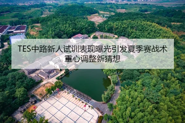 TES中路新人试训表现曝光引发夏季赛战术重心调整新猜想